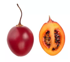 Tamarillo