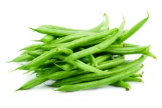 Bio : Haricot Vert (Cueilli à la Main)