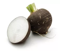 Radis Noir (Rond ou Long)