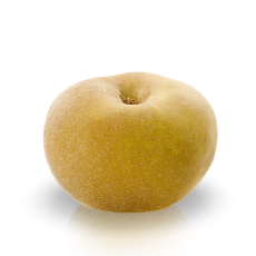 Pomme Canada Grise