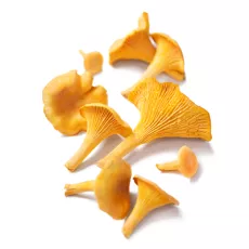 Chanterelle Jaune