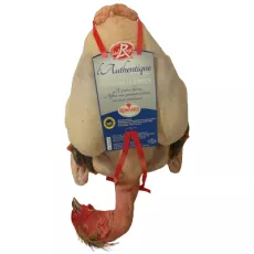 Chapon Fermier Nu Effilé (Prêt-à-Cuire)