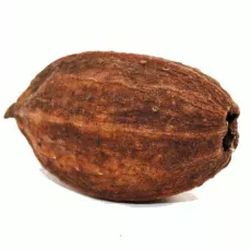 Cabosse de Cacao