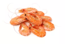 Bio : Crevettes Roses - photo miniature 2