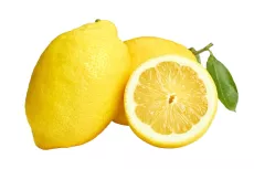 Citron de Menton - photo miniature 1
