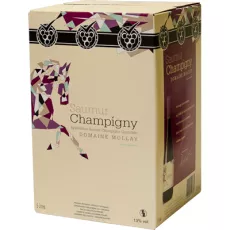 Saumur Champigny Rouge -  Domaine Molley