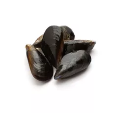 Moule