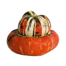 Courge Giraumon