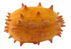 Bio : Concombre Kiwano - photo miniature 2
