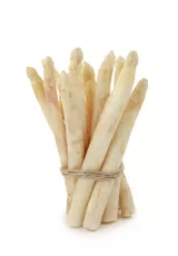 Asperge Blanche