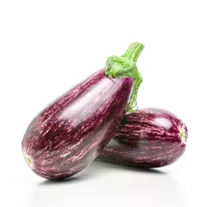 Bio : Aubergine Graffiti