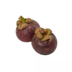Mangoustan