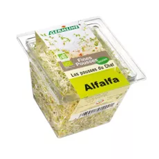 Bio : Graines Germées Alfalfa - Germline