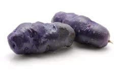 Pomme de Terre Vitelotte - photo miniature 2