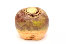 Rutabaga