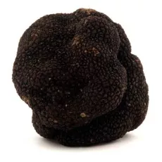 Truffe Noire - photo miniature 3