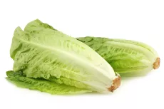 Romaine