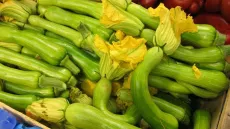 Courgette Trompette - photo miniature 2