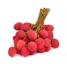 Lychee branche (Litchi)