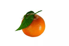 Bio : Clémentine Corse - photo miniature 1