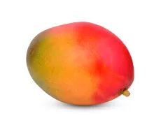 Mangue Avion (Mûrie sur l’Arbre)