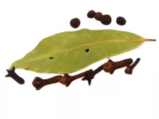 Laurier Entier