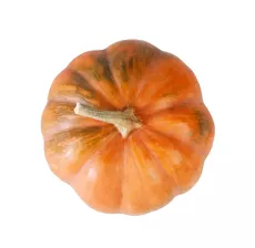 Bio : Courge Musquée - photo miniature 2