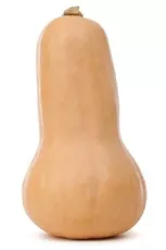Butternut - photo miniature 2