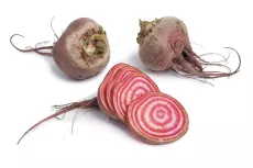 Bio: Betterave Chioggia