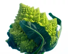 Bio : Chou Romanesco