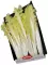 Endive Barbucine