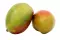 Mangue