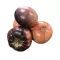 Tomate Raf Bleue