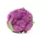 Chou Fleur Violet