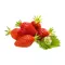 Fraise Gariguette
