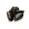Moule