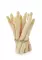 Asperge Blanche