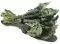 Chou Kale