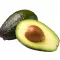 Avocat Hass