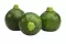 Courgette Ronde