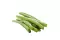 Haricot Vert Équeuté