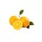 Oranges à Jus (Non Traitée Après Récolte)
