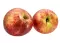 Bio : Pomme Royal Gala