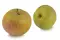 Pomme Reine des Reinettes