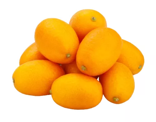 Kumquat - photo1