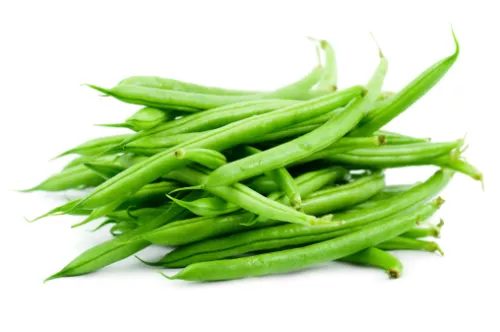 Haricot Vert Extra (Cueilli à la Main) - photo1
