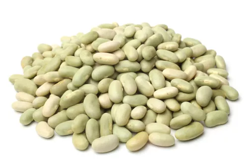 Bio : Flageolets Verts - Grain de Vitalité - photo2
