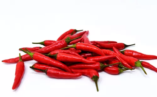 Bio : Piment - photo1