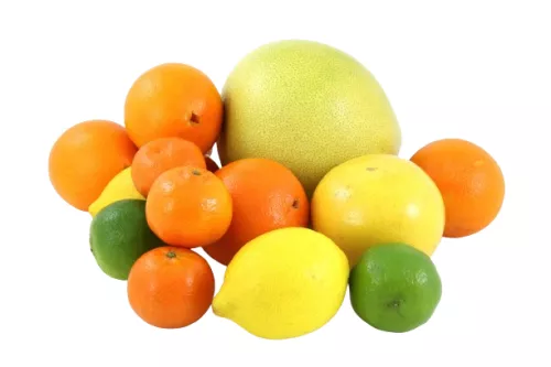 Bio : Assortiment d'Agrumes - photo1