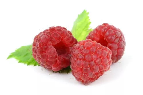 Bio : Framboise - photo1